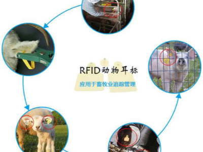 RFID技术对畜牧管理提供了科学模式